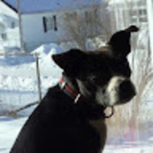 Meet your Posher, Kaella